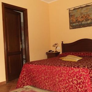 Classic Single Room